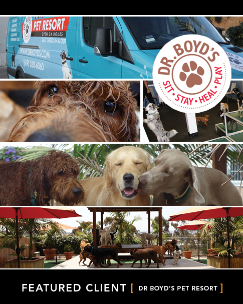 Newsletter Dr Boyd