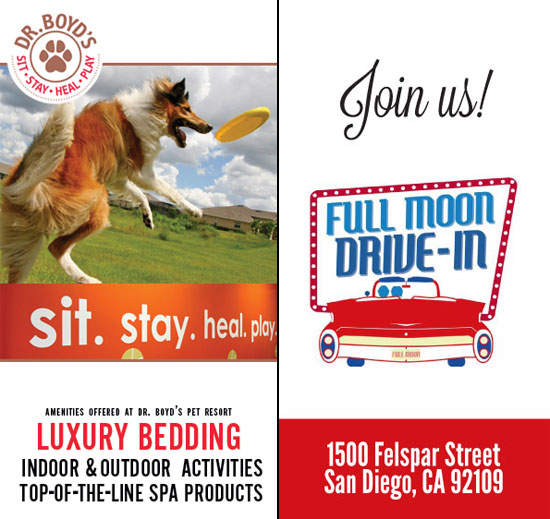Newsletter Sidebar Ads